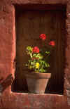A window into our past...