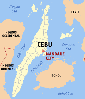 Mandaue cebu locator.png