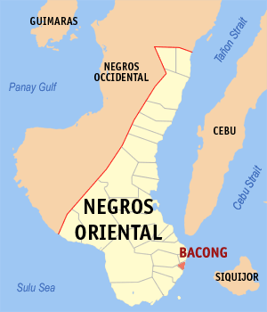 Negros oriental bacong.png