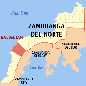 Zamboanga del norte baliguian.png