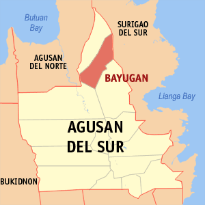 Bayugan city map locator.png