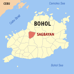 Bohol sagbayan.png