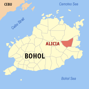 Bohol alicia.png