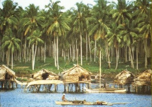 Taluksangay pearl farm.jpg