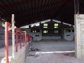Curuan audi 061707b.jpg