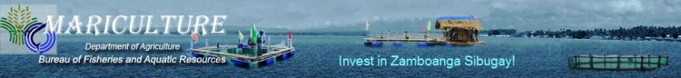 Invest in Zamboanga Sibugay!.JPG