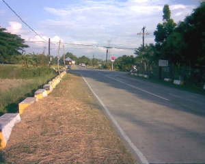 Asingan Pangasinan Road.jpg