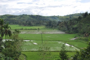 Licomo Zamboanga City 1.JPG
