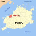 Bohol tubigon.png