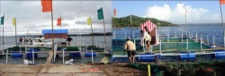 Tungawan Mariculture Zone, SibugayLaunched – March 03, 2007 Area – 500 Hectares