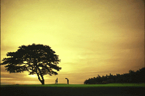 Golf calarian zamboanga city.gif