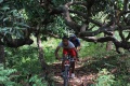 Zamboanga City Mountain Bikers (27).JPG