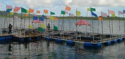 Mariculture farming in The Philippines