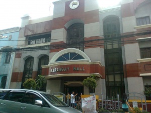 Barangay hall of palanan makati city.jpg