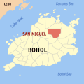 Bohol san miguel.png