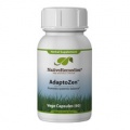 AdaptoZen