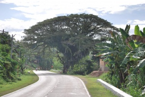 Licomo Zamboanga City 2.JPG