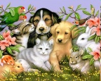 get a FREE webpage for your pet