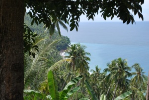 Limpapa.jpg