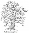 Z-wiki genealogy tree.JPG