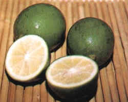 wpe4B.jpg (6850 bytes)