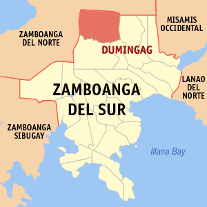 Zamboanga del sur dumingag.png
