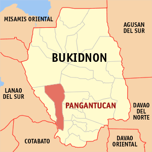Ph locator bukidnon pangantucan.png