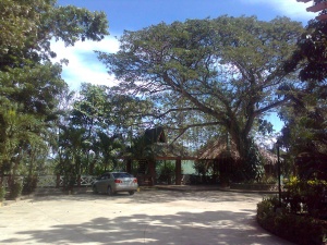 Woodland resort of zambowood zamboanga city 1.jpg