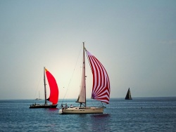 Vela - sail.jpeg