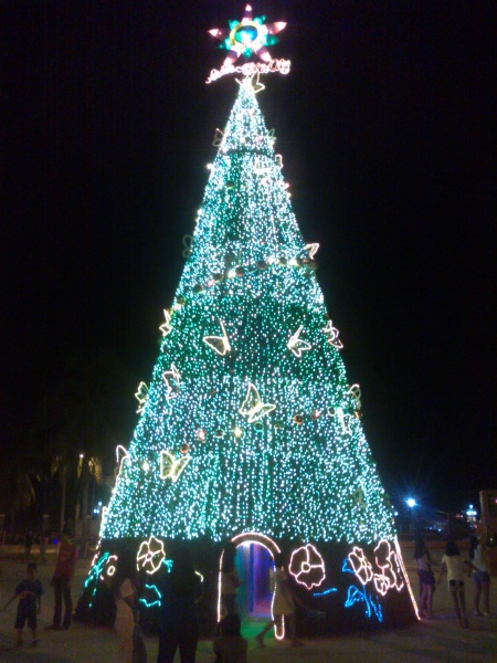 File:Paseo del Mar Christmas Tree 2012.jpg