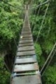 Lumbia hanging bridge, cagayana de oro.jpg