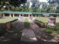 Apolinario molina elementary school labakid sindangan zamboanga del norte.jpg