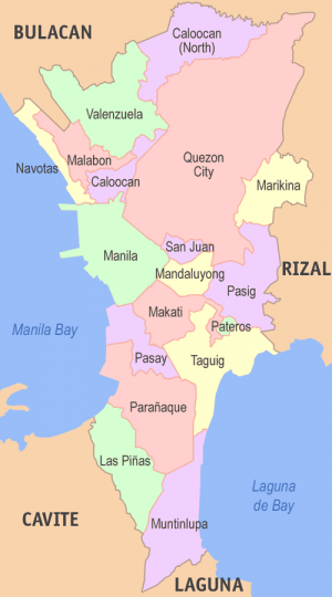 Metro manila map (1).png