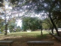 Park of poblacion ipil sibugay zamboanga del norte.jpg